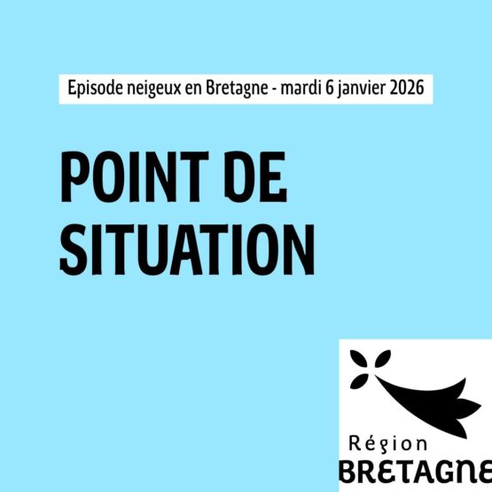 fireworks_finale_white_festive_festivity_celebration_colorful-1408581.jpg!d